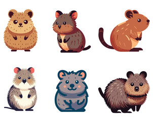 set collection cute logo mascot quokka vector