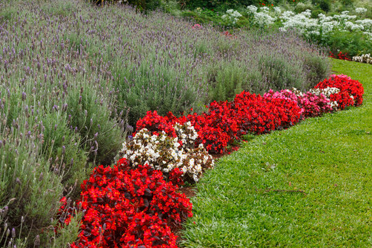 Le Jardin, lavender garden in Gramado, Serra Gaucha, Rio Grande do Sul, Brazil.