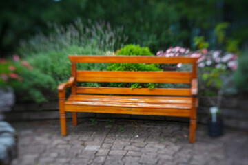Wood bench at Le Jardin, lavender garden in Gramado, Serra Gaucha, Rio Grande do Sul, Brazil.