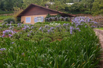 Le Jardin, lavender garden in Gramado, Serra Gaucha, Rio Grande do Sul, Brazil.