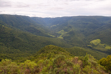 Fototapeta premium Serra do mar forest in Serra Gaucha, Rio Grande do Sul, Brazil.