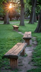 Three wooden benches sit in a line in a grassy park.  The sun shines through the trees behind them, casting long shadows.