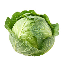 Cabbage PNG cutout isolated on white and transparent background clipping path.