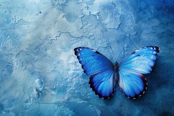 Graceful Blue Butterfly. Serene nature concept