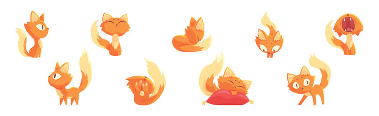 Obraz premium Funny Cat Character Tame Pet with Tail and Cute Snout Vector Set