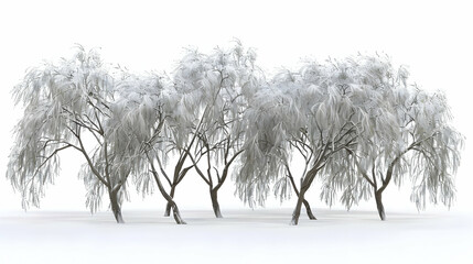 Snow-Covered Trees in a Winter Wonderland