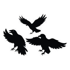 black silhouette of three crows. The crows are facing each other and appear to be in mid-flight. vector silhouette,