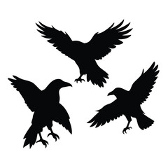 Fototapeta premium black silhouette of three crows. The crows are facing each other and appear to be in mid-flight. vector silhouette,