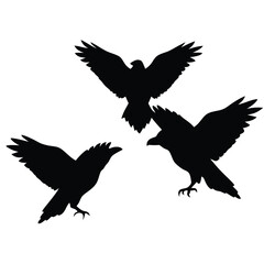 Obraz premium black silhouette of three crows. The crows are facing each other and appear to be in mid-flight. vector silhouette,