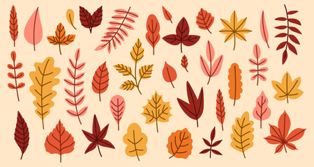 Leaves autumn. Leaf fall season. Red Maple, yellow ginkgo and acorn. Thanksgiving decorative isolated simple elements, motif in November, color foliage of tree, forest nature. Vector background design