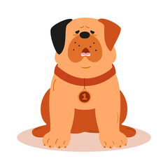 A cute sad cartoon bulldog with a medal on his chest. Vector illustration in a flat style. The emotional expression of a pet.