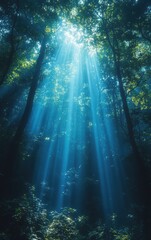 Obraz premium Sunbeams Illuminating Forest