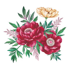 Bouquet of peonies. Watercolor illustration isolated on white background.