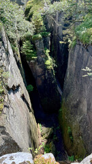 Obraz premium Hiking trail with wooden boardwalk and steps in Poland's Stolowe Mountains. Szczeliniec Wielki.