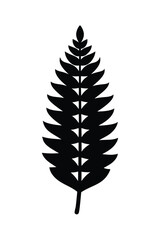 Boston Fern Black Vector.