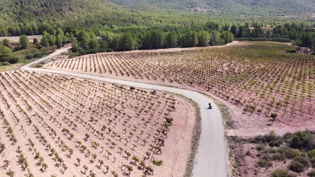Persona en motocicleta viajando entre campos de vi&ntilde;as