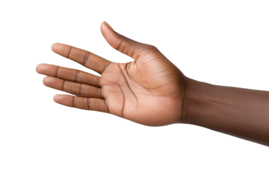 Detailed view of a hand with fingers gently curled in a relaxed position, set against a bright white background,