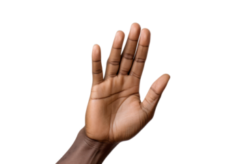 Detailed view of a hand with fingers gently curled in a relaxed position, set against a bright white background,