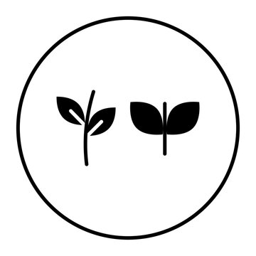 recommend clip art: Herbs vector icon. Can be used for Spa iconset.