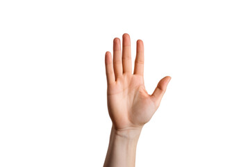 Fototapeta premium Detailed view of a hand with fingers gently curled in a relaxed position, set against a bright white background,