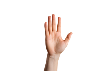 Detailed view of a hand with fingers gently curled in a relaxed position, set against a bright white background,