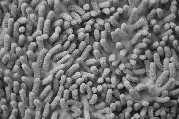 Processed image of fluffy gray doormat from bathroom in grey color