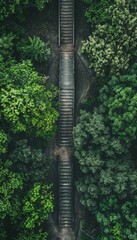 Fototapeta premium Aerial view of a wooden staircase leading up through lush green foliage.