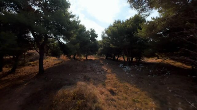 Drone Fly Over Forest Trails Towards The Lake In Laghetto Cave di Bauxite, Otranto, Province of Lecce, Italy. FPV