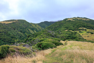 Naklejka premium Breathtaking view over Te Toto Gorge Lookout and Mt Kariori on an overcast summer day. High vantage point. Raglan Waikato