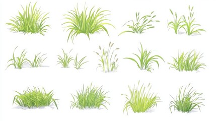 Fototapeta premium A collection of simple, flat-style drawings of grass. Each picture shows grass on a plain white background.