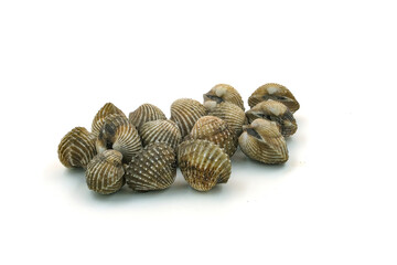 Fresh cockles on white background