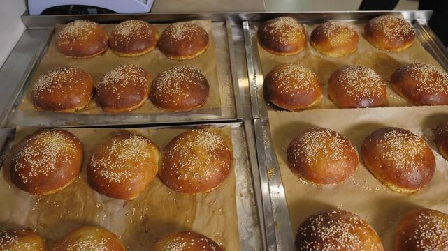 Lots of freshly baked burger buns in the kitchen of a restaurant or bakery. Burger buns with sesame seeds and crispy crust. 