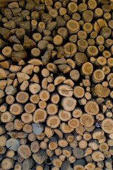 stack of firewood