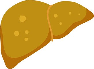 Liver disease illustration 