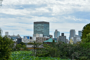 Fototapeta premium 上野公園から眺める高層ビル群