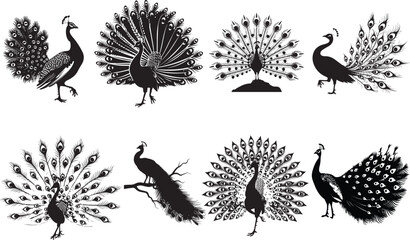 Set of Peacock vector silhouette