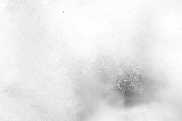 Fototapeta premium texture with white artistic, can be used for background and content social media marketing