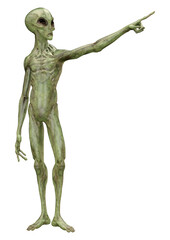 3D Rendering Green Alien on White