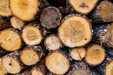 Wood logs for firewood. Close-up, selective focus