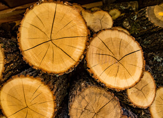 Naklejka premium Wood logs for firewood. Close-up, selective focus