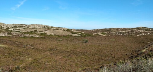 Dünen auf Sylt