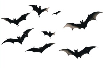 Naklejka premium Silhouette flying bats group silhouettes background wildlife.