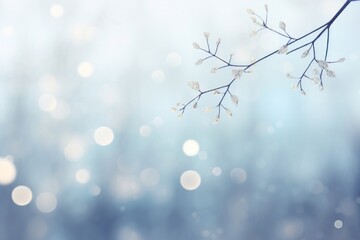 Winter bokeh background outdoors sunlight blossom.