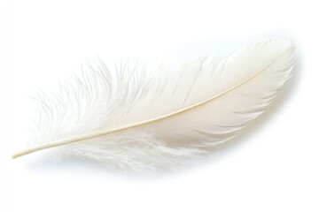 Obraz premium Realistic photo of a soft white feather accessories accessory jewelry.