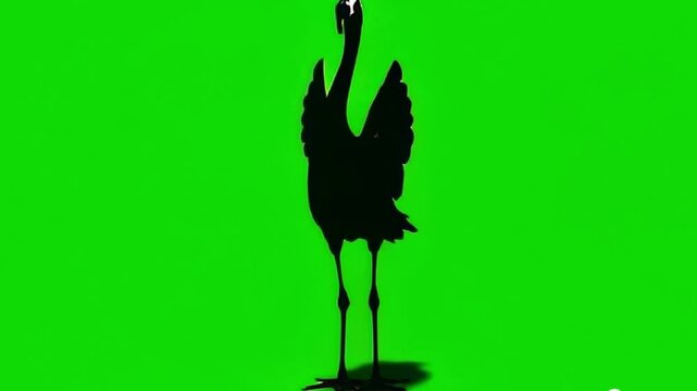 silhouette of a bird