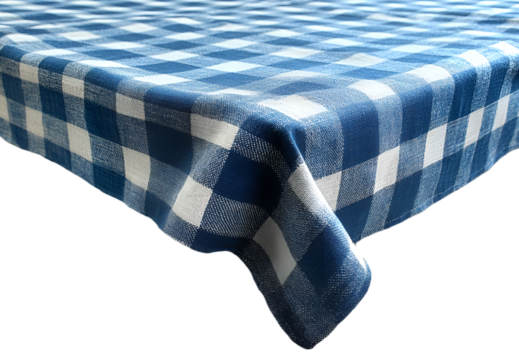 a blue and white checkered tablecloth. 