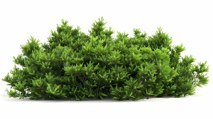 Fototapeta premium Lush Green Bush with Vibrant Foliage - Natural Greenery