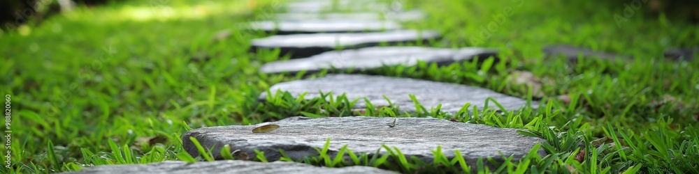 Poster a path of stones is lined with grass. the stones are of various sizes and are arranged in a way that