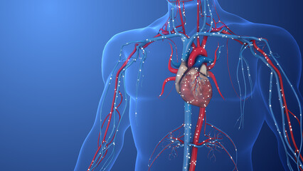 Diabetes risks to peripheral neuropathy