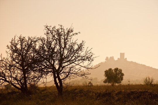 Silhouetted trees stand against a dusk sky, with a distant castle atop a hill, creating a mysterious and tranquil scene that evokes feelings of solitude and wonder in Andalusia Spain